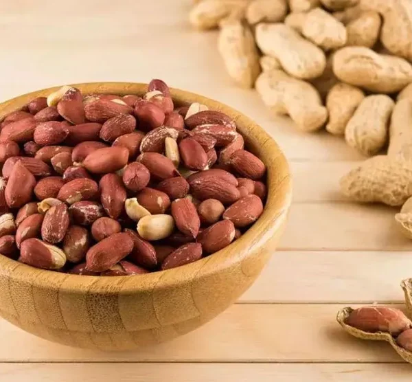 با خواص بادام زمینی برای استخوان بیشتر آشنا شوید | مستر پسته - خواص بادام زمینی برای استخوان‌ها را بشناسید؛ منبعی سرشار از کلسیم، منیزیم و فسفر که به تقویت استخوان‌ها، افزایش تراکم و پیشگیری از پوکی استخوان کمک می‌کند.