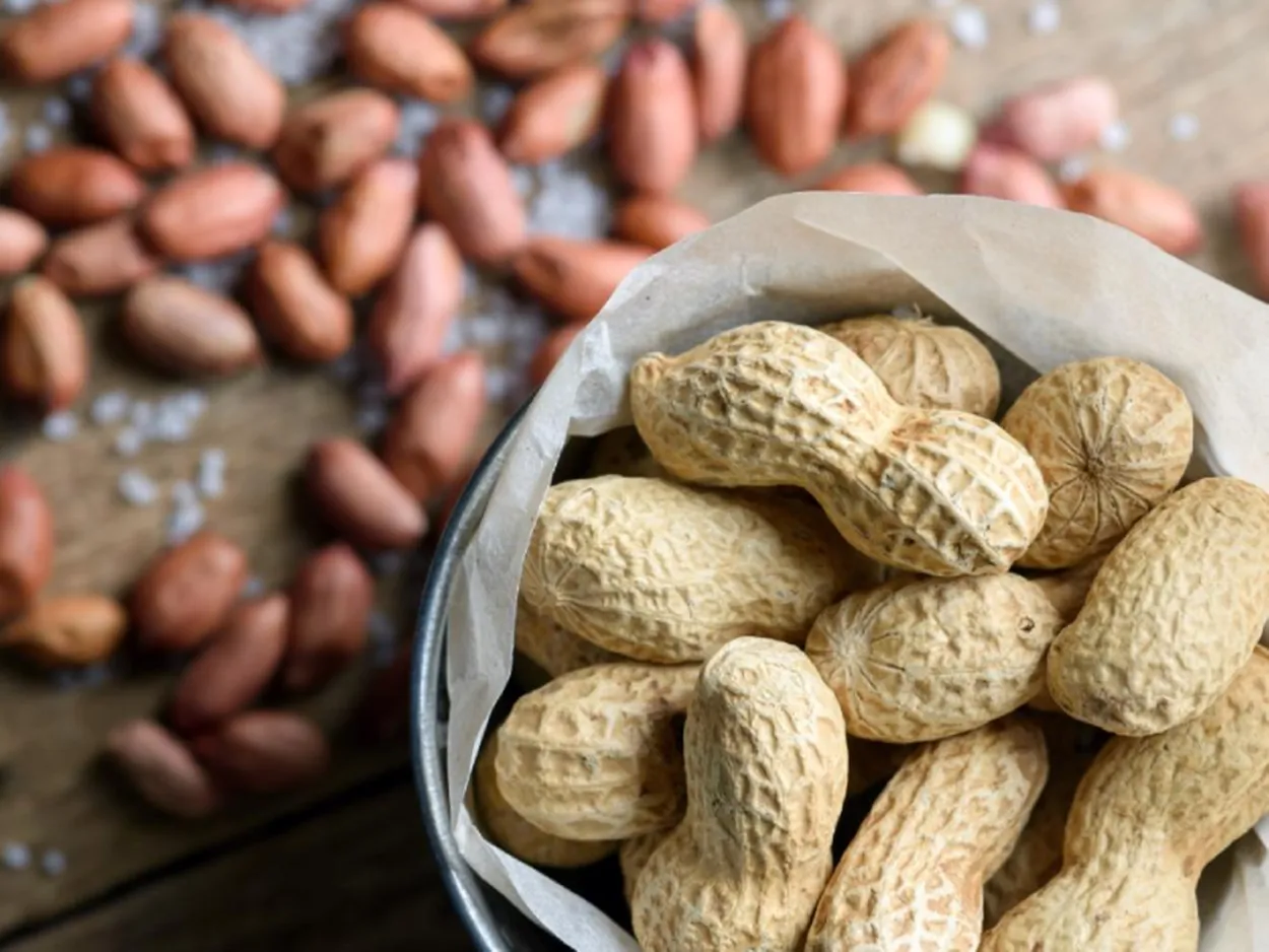 اشتباهات رایج در مصرف آجیل توسط دیابتی‌ها - آشنایی با بهترین آجیل مناسب برای افراد دیابتی، میزان مصرف مجاز و زمان مناسب استفاده از آن برای کنترل قند خون، بهبود سلامت قلب و پیشگیری از نوسانات گلوکز.