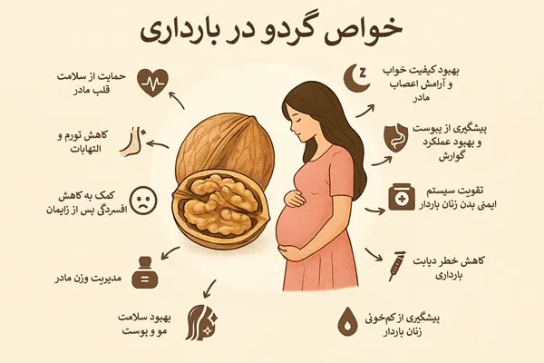 آیا مصرف گردو برای زنان باردار مفیده؟ - با خواص گردو برای زنان آشنا شوید؛ از تقویت پوست و مو، قلب و مغز گرفته تا تنظیم هورمون‌ها، سلامت رحم و دوران بارداری. یک راهنما برای افزایش سلامت و زیبایی زنان.